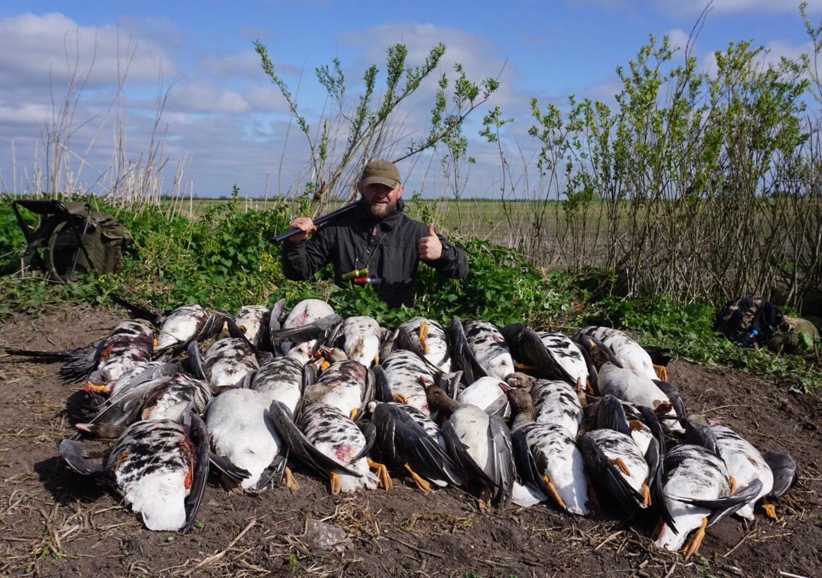 Goose hunting