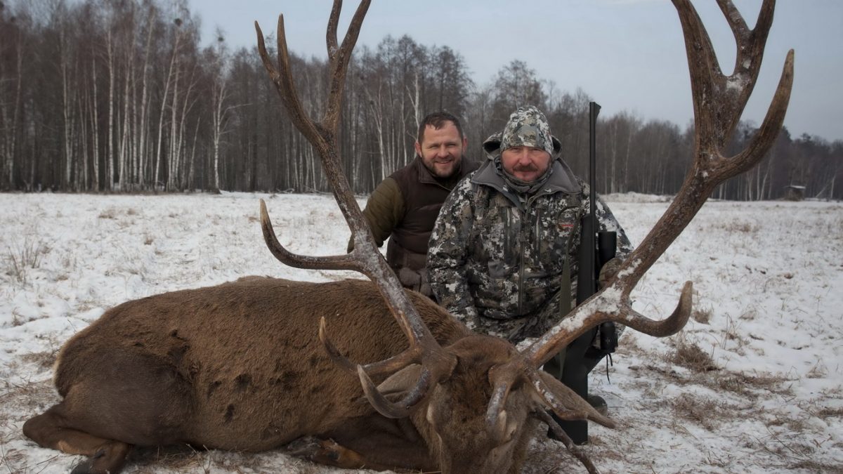 2016 ... начало