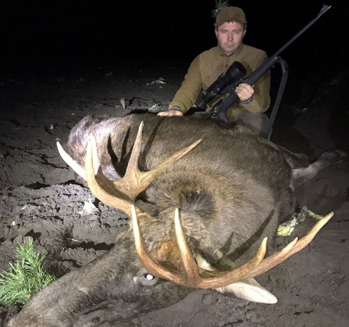 Охота на лося. Гродненская обл.