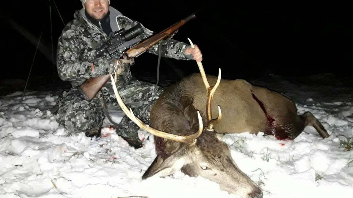Охота на копытных зимой