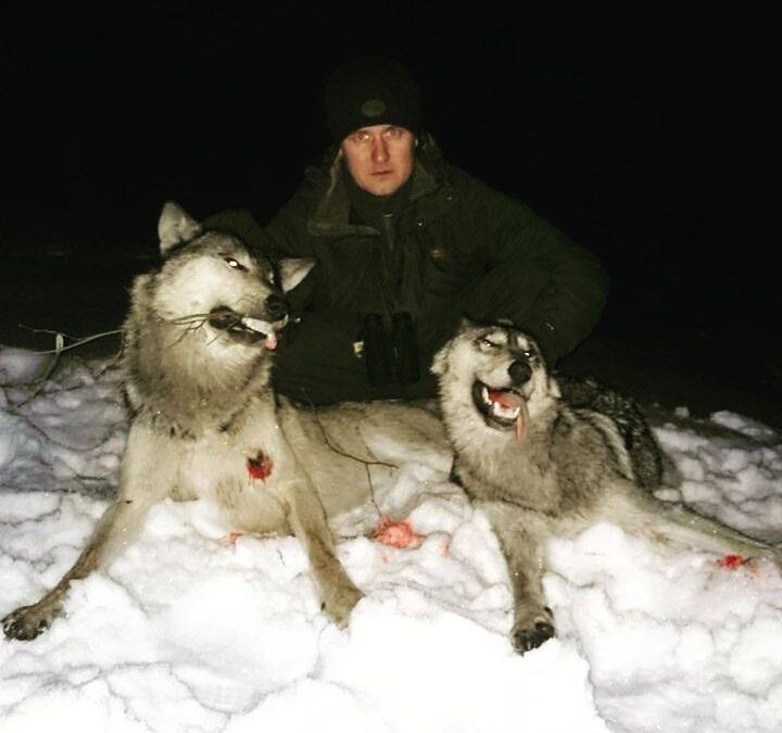 Интересно получилось