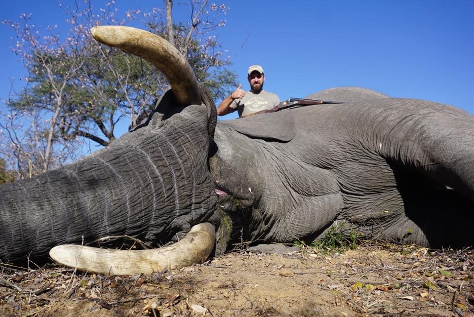 Охота в Зимбабве 2018.
