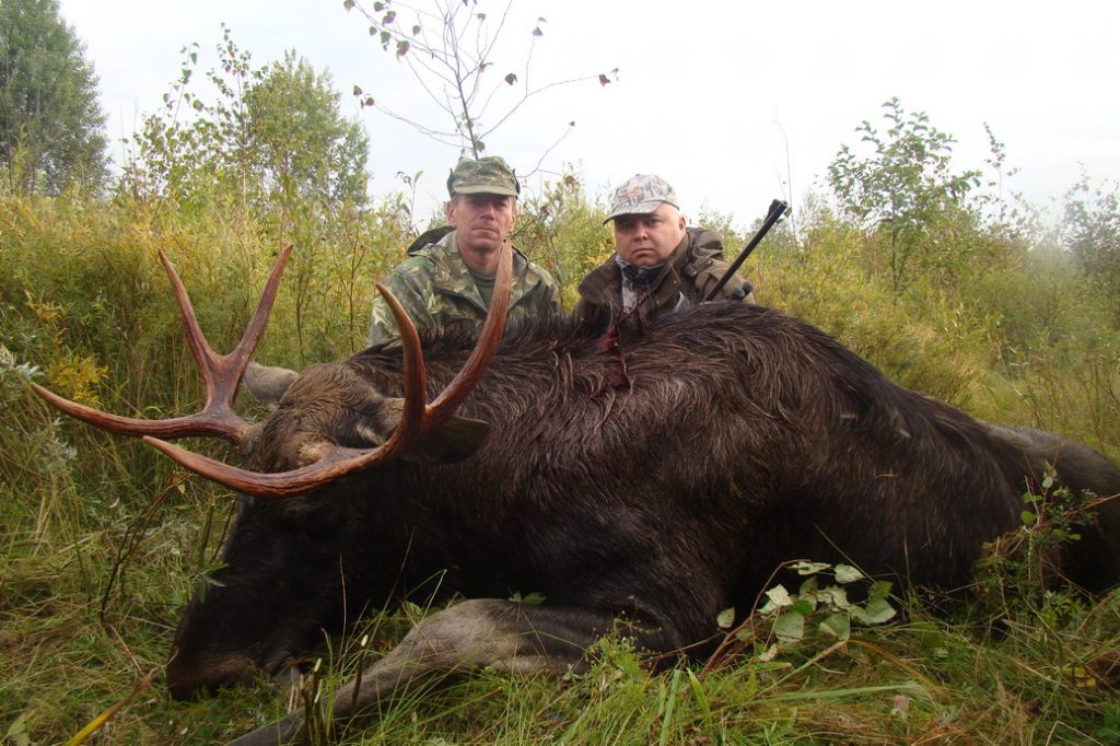 Охота на копытных в Республике Беларусь