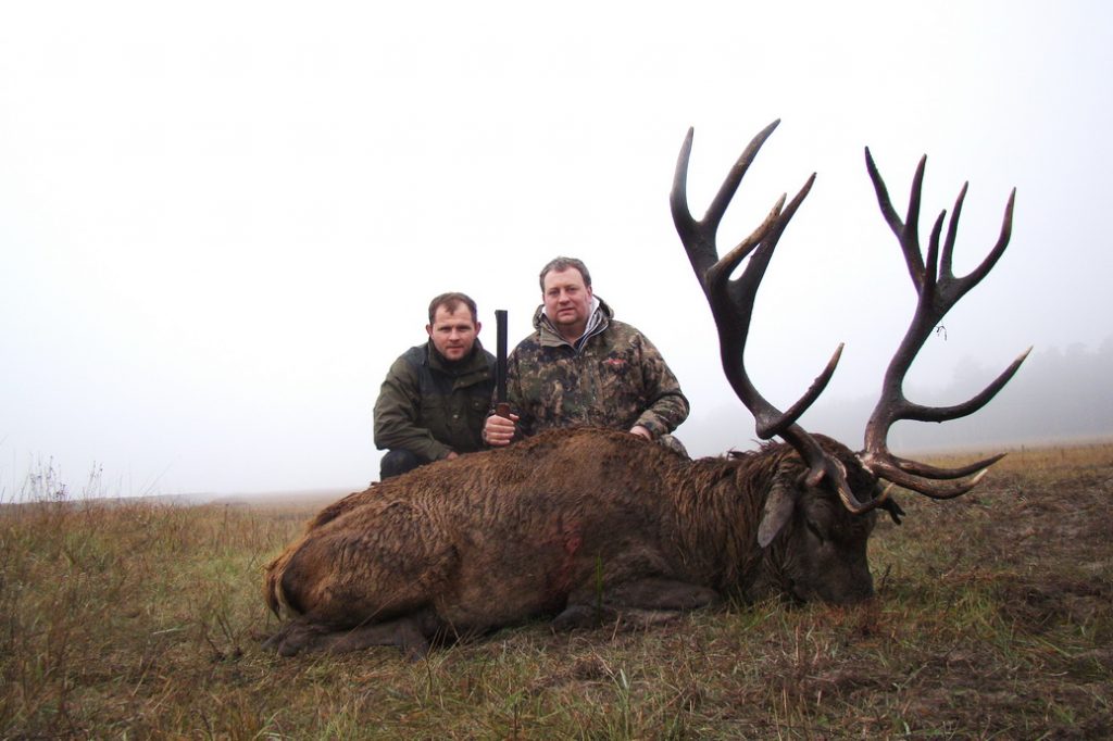 Охота на копытных в Республике Беларусь