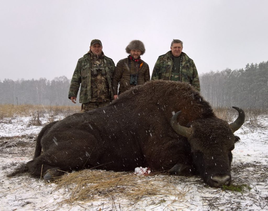 Охота на копытных в Республике Беларусь