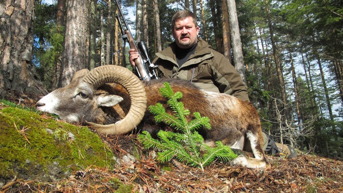 Балканские каникулы