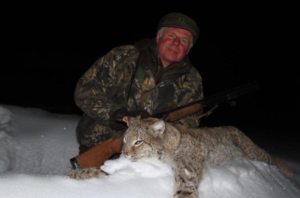 Охота на рысь в России