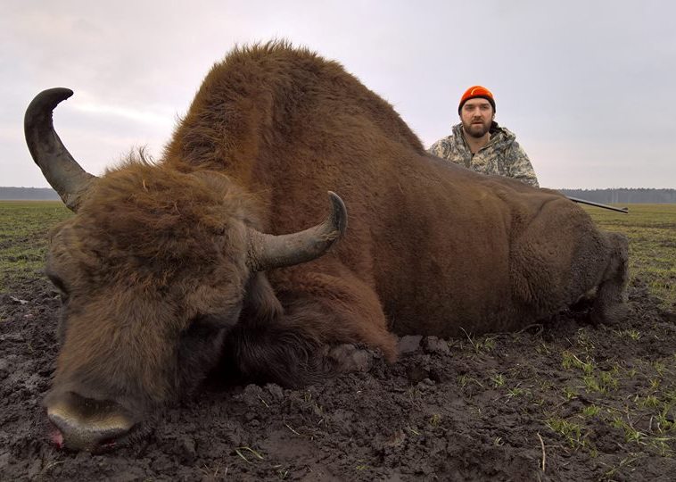 Охота на копытных в Республике Беларусь