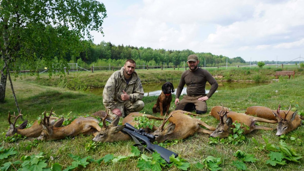 Майские хроники охоты на косулю в Республике Беларусь 2017