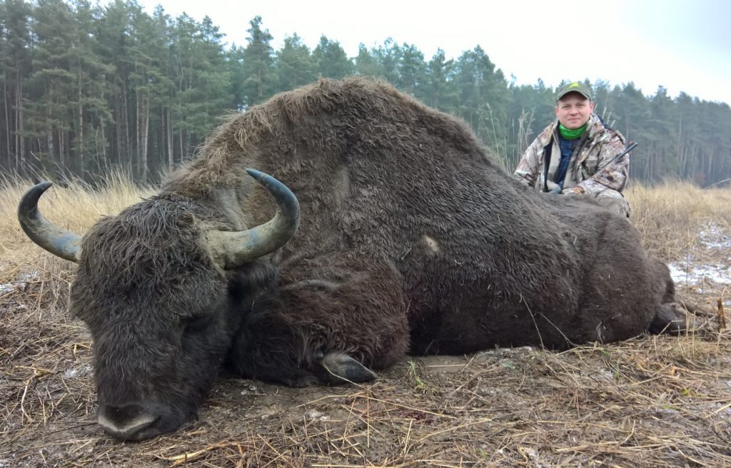Охота на копытных в Республике Беларусь