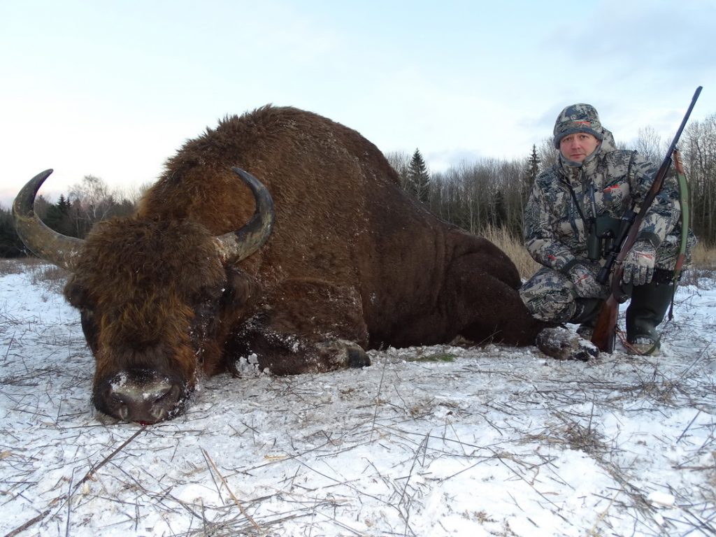 Охота на копытных в Республике Беларусь