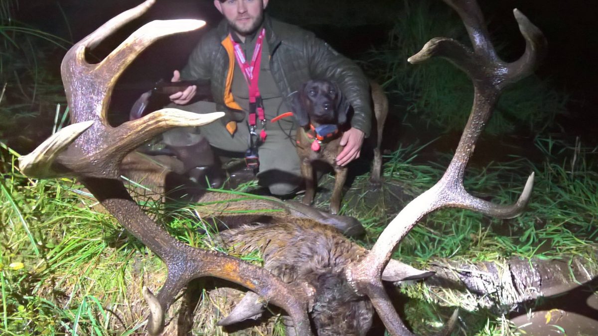 Некоторые итоги. Охота на реву.