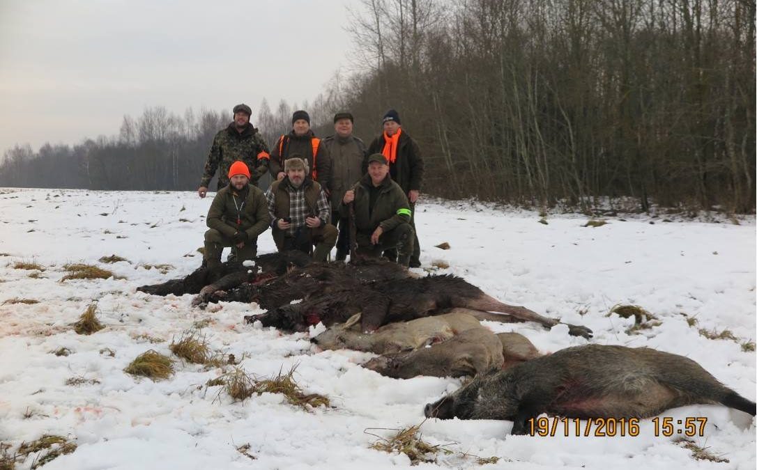 Охота загоном