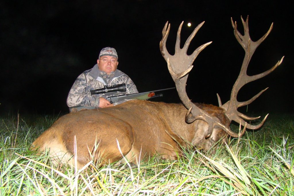 Охота на копытных в Республике Беларусь