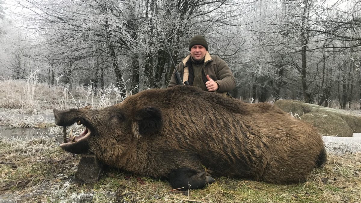 2018 начало сезона охоты на крупных копытных