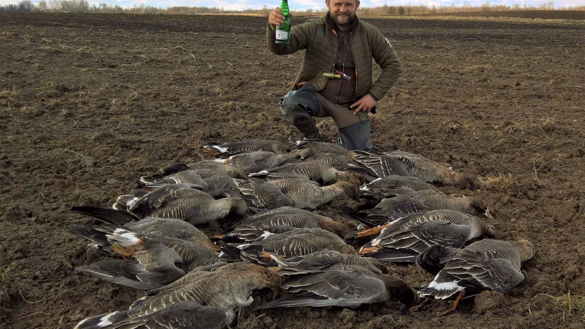 ФОТОИТОГИ. ГУСЬ 2017