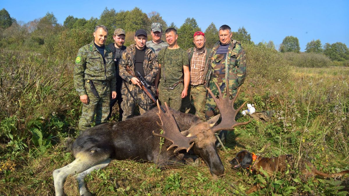 Прекрасный трофей лося