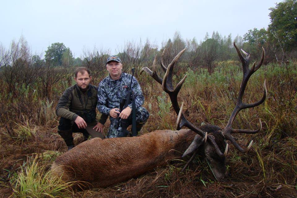 Охота на копытных в Республике Беларусь