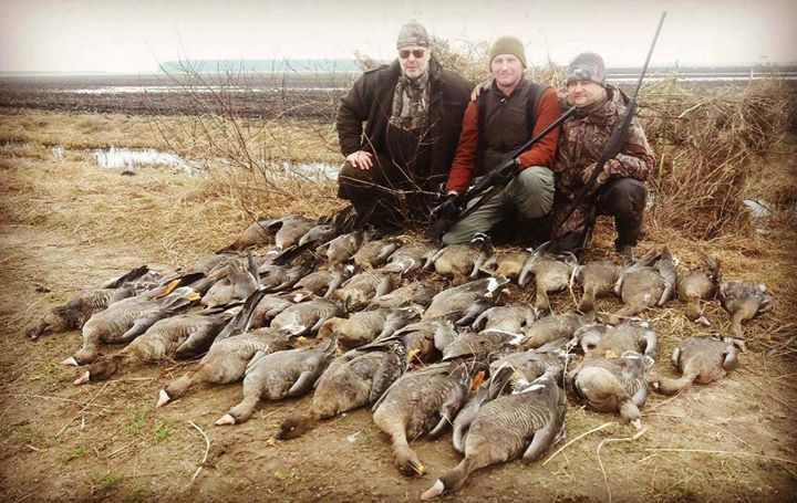 Охота на гуся в Беларуси набирает обороты!