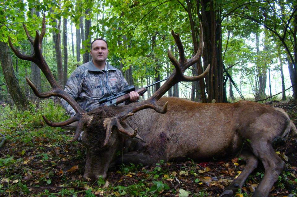Охота на копытных в Республике Беларусь