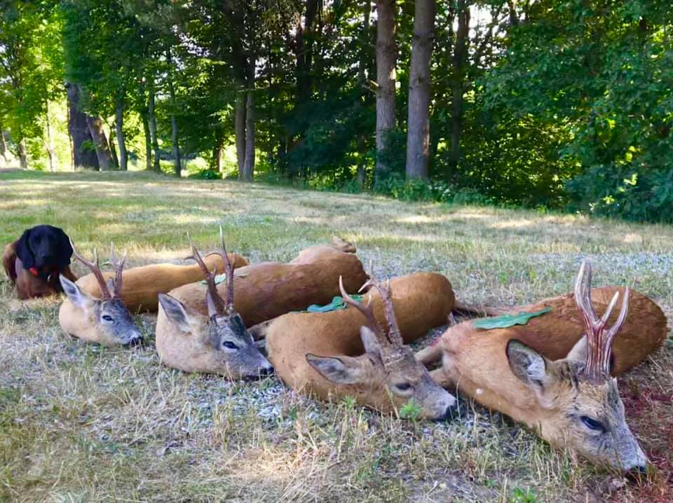 Сезон открыт...