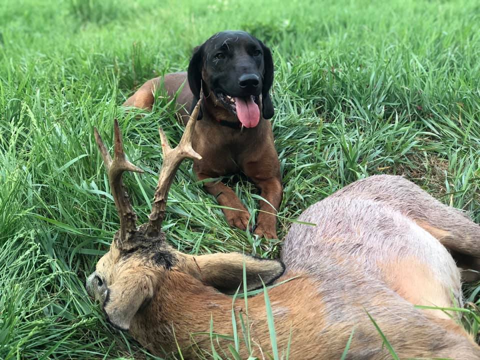 Сезон открыт...