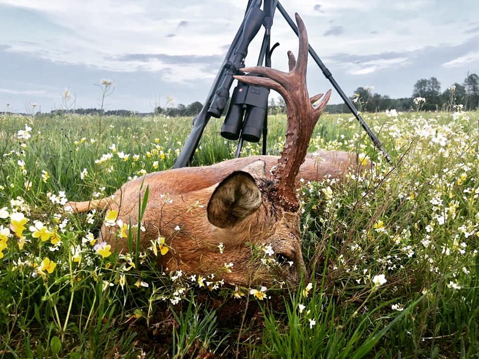 Сезон открыт...