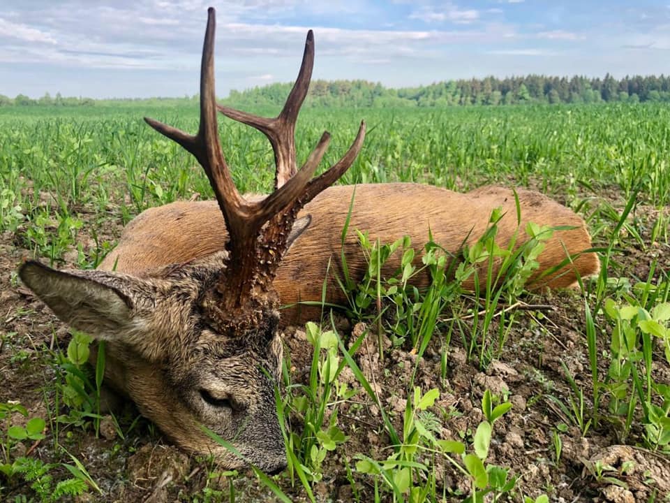 Сезон открыт...