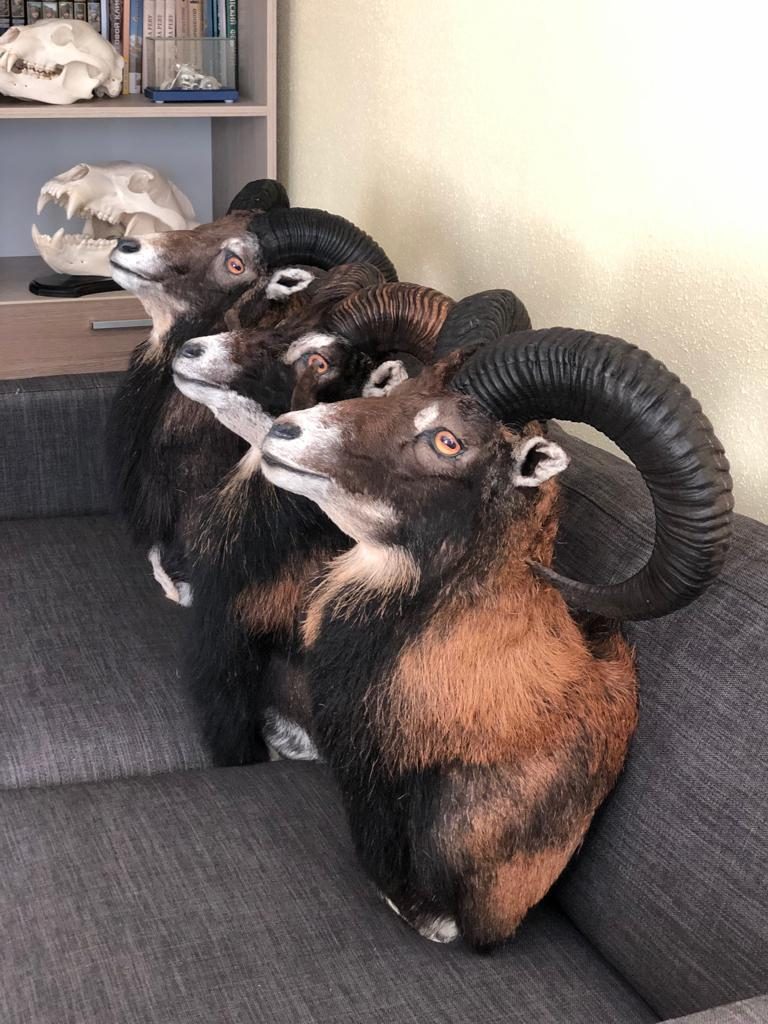 Мастерская ArtHunt