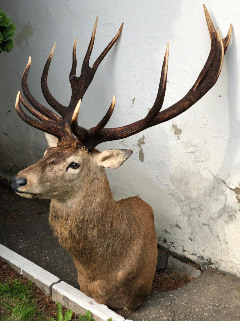 Мастерская ArtHunt