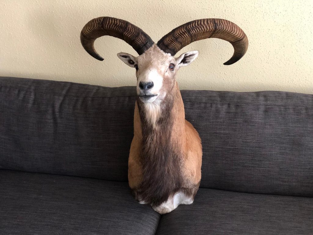 Мастерская ArtHunt