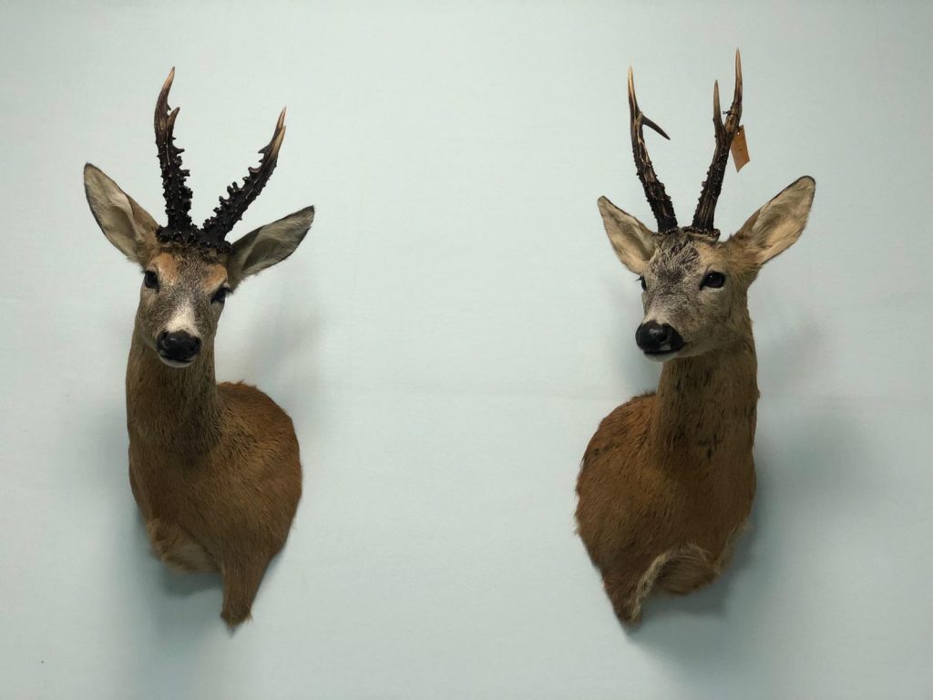 Мастерская ArtHunt