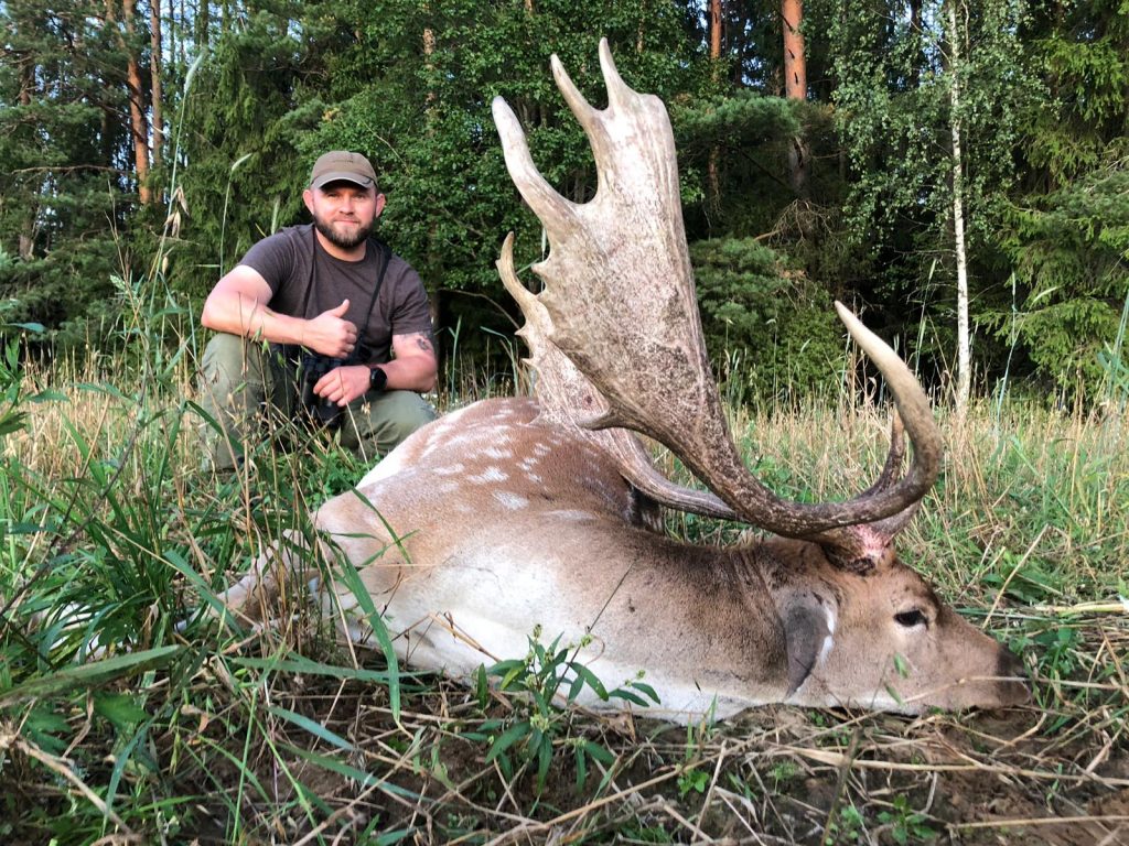 Охота на оленя на реву...