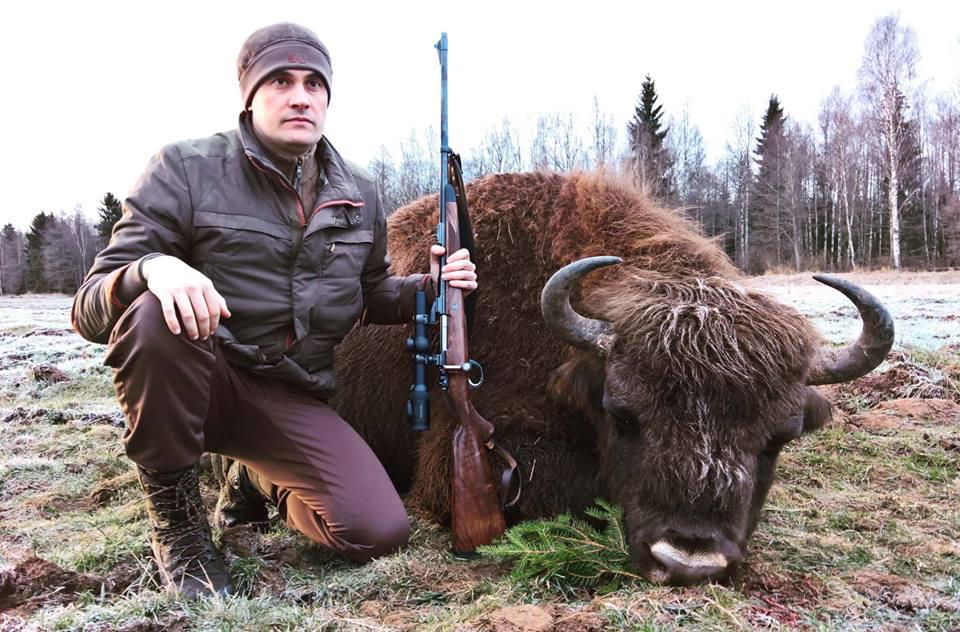 Bison hunting