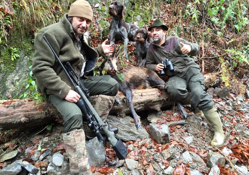 Охота в Румынии 2014